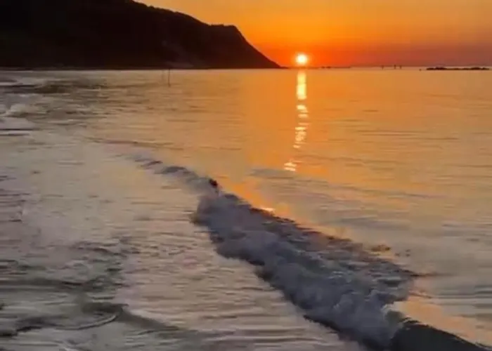 Il Mare A Due Passi Appartement Pesaro